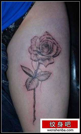 手臂时髦的素描玫瑰花纹身