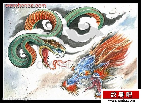 一张很帅权威的蛇与龙头纹身手稿