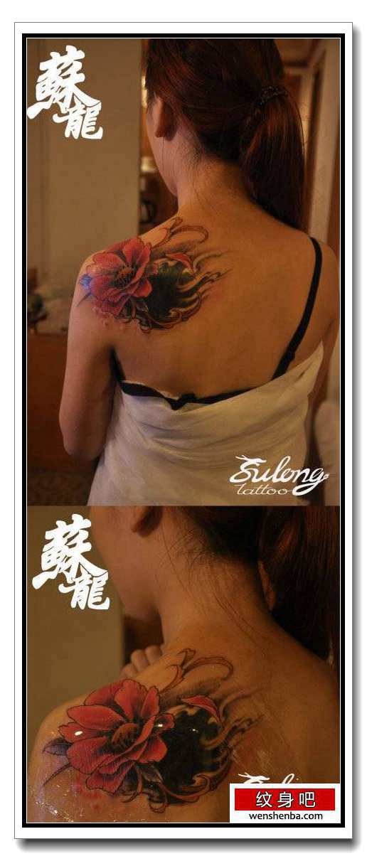 靓女后肩背漂亮个性的罂粟花纹身