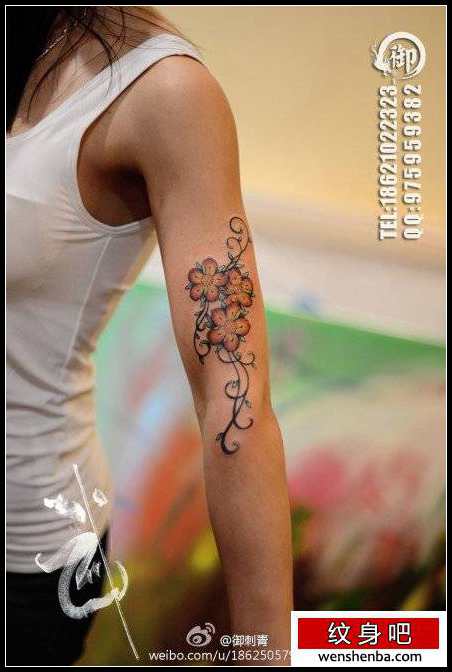 女人手臂漂亮个性的彩色樱花纹身
