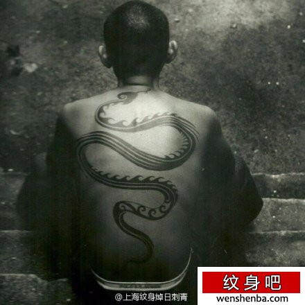 男性后背个性权威的图腾蛇纹身