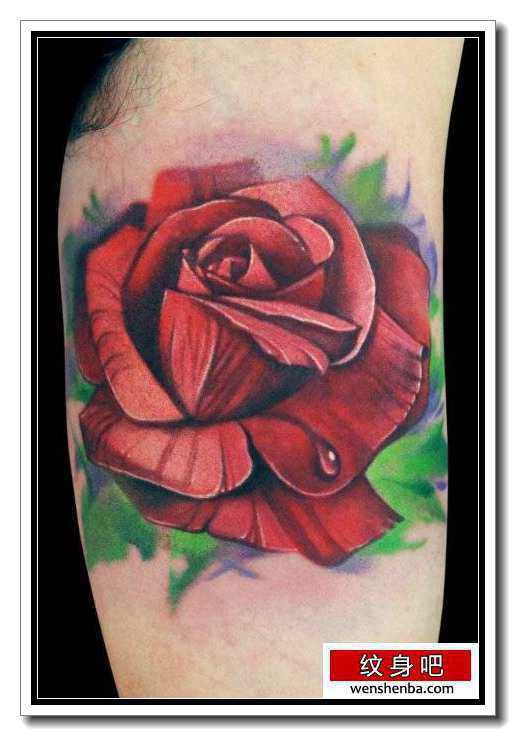 手臂内侧一枚漂亮精致的彩色玫瑰花纹身