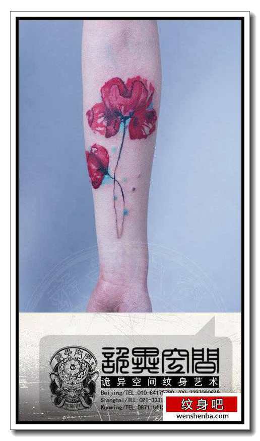 手臂漂亮个性的彩色罂粟花纹身