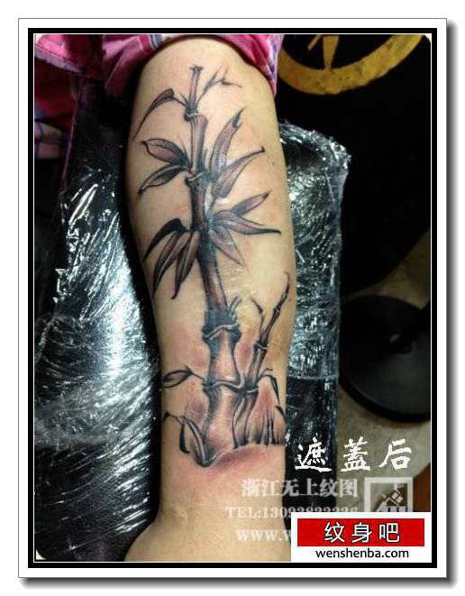 手臂时髦的黑灰竹子纹身