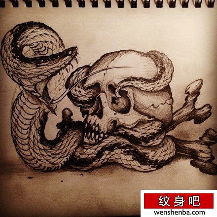很帅权威的一张蛇与骷髅纹身手稿