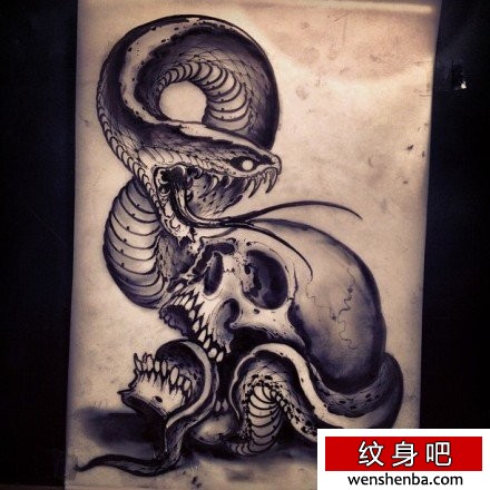 权威帅气的一张蛇与骷髅纹身手稿