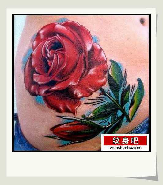 靓女腹部精致漂亮的彩色玫瑰花纹身