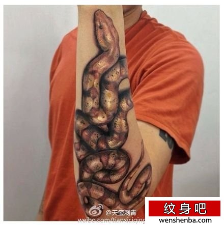 手臂个性很帅的蛇纹身