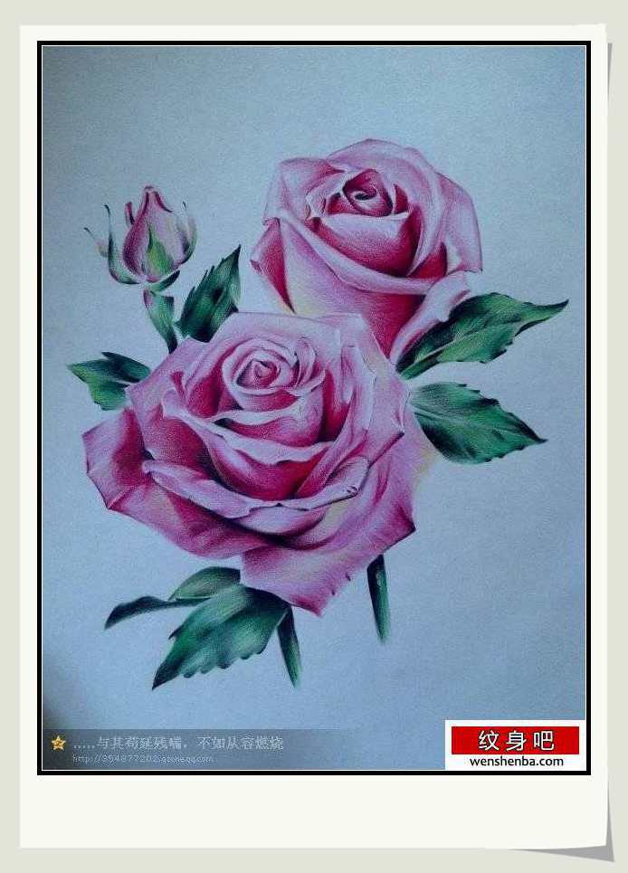 一张非常漂亮的一枚玫瑰花纹身手稿