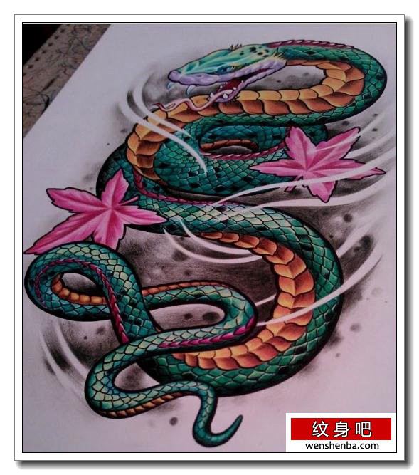 介绍一张漂亮的蛇纹身手稿