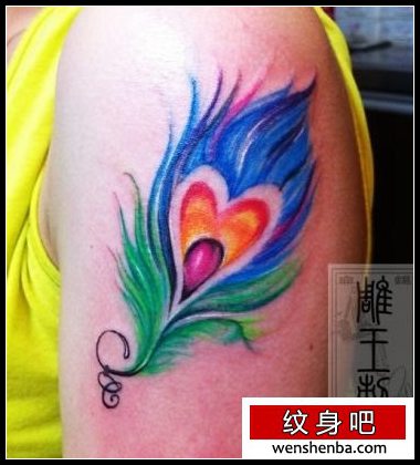 手臂艳丽的一张彩色羽毛纹身
