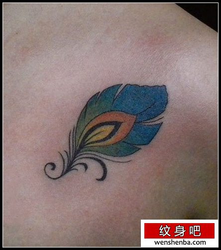 女人胸部可爱的孔雀羽毛纹身