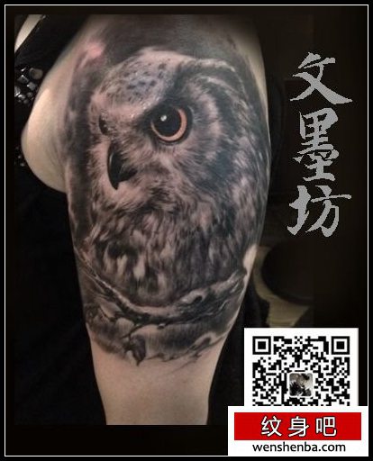 最专业的纹身为你介绍一张帅气个性的大臂猫头鹰纹身