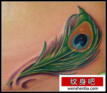 介绍一张羽毛纹身