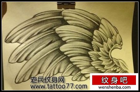 时髦的翅膀纹身