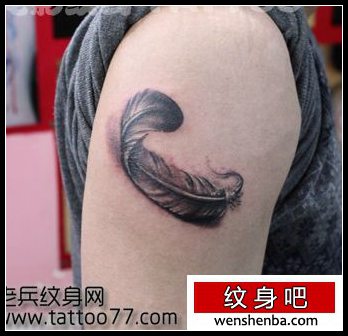 手臂好看的羽毛纹身