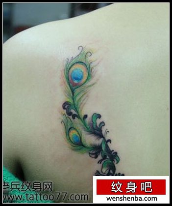 靓女背部时髦的孔雀羽毛纹身