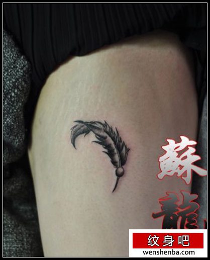一张黑白的羽毛纹身