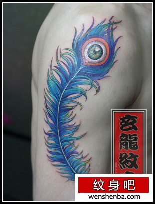 大臂漂亮的彩色孔雀羽毛纹身