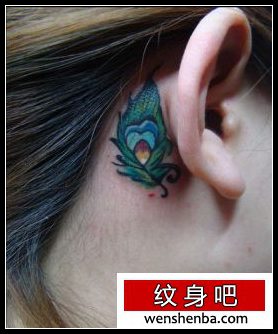 女人耳部好看的羽毛纹身