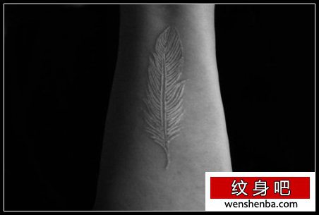 一张手臂白色羽毛纹身