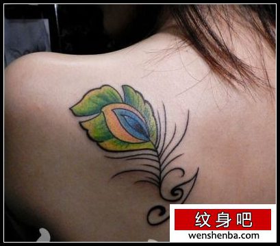 女人喜欢的肩背彩色羽毛纹身