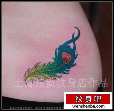 女人喜欢的腰部彩色羽毛纹身