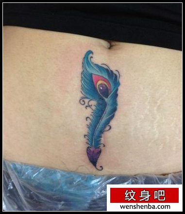 腹部彩色羽毛纹身