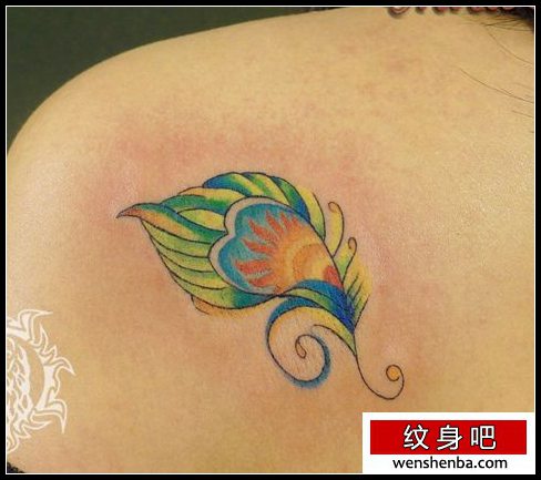 女人肩背精致的小羽毛纹身