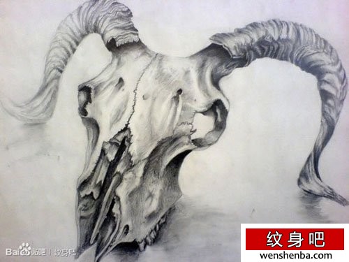 一张个性权威的黑灰羊头骷髅纹身