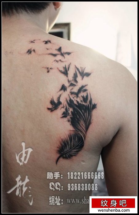 男性后背一张个性权威的羽化燕纹身