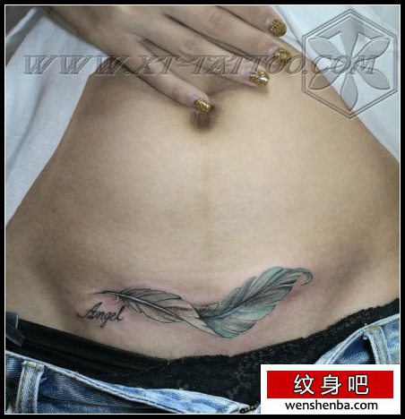 女人腹部权威个性的羽毛纹身