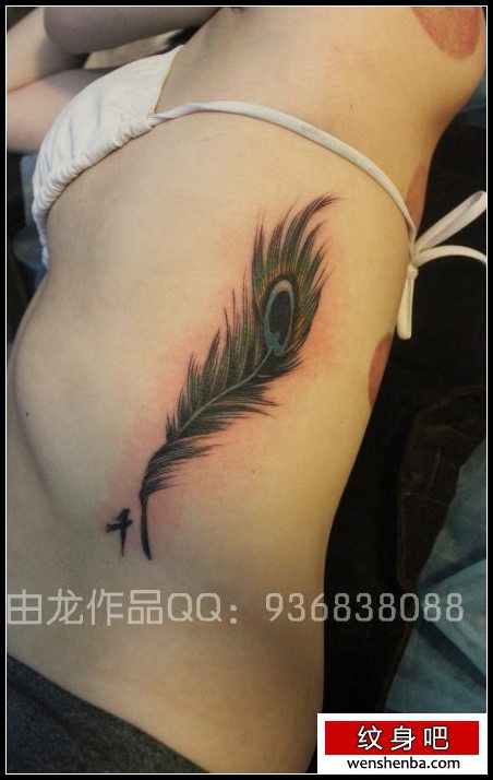 靓女侧腰精致个性的孔雀羽毛纹身