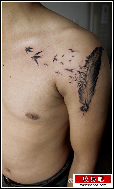 男性手臂时髦个性的羽化燕纹身