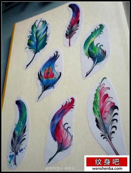 一组精致时髦的彩色羽毛纹身