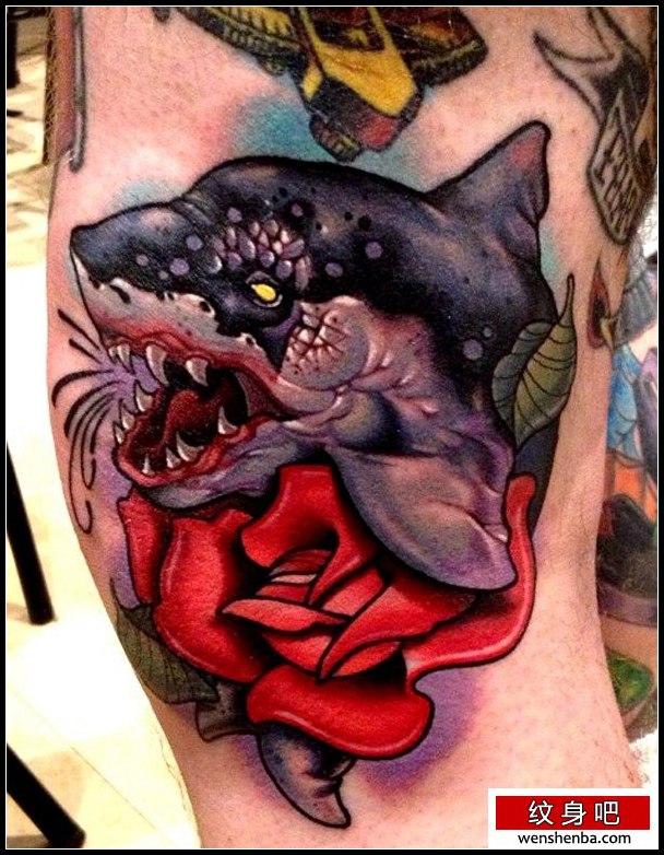 介绍一张个性鲨鱼玫瑰花纹身分享