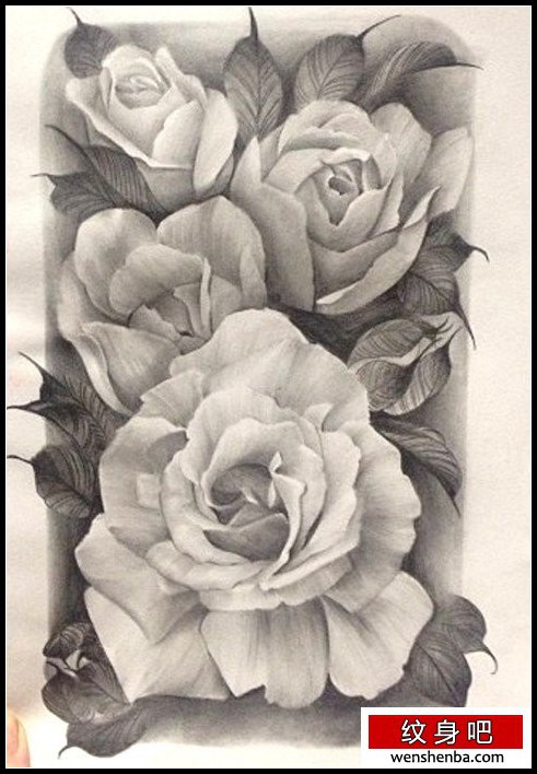 介绍一张精致的素描玫瑰花纹身手稿