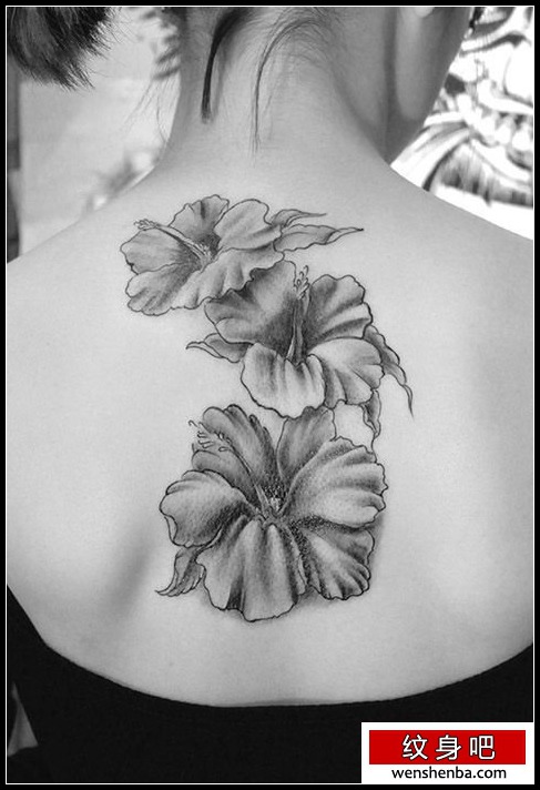 扶桑花背部纹身